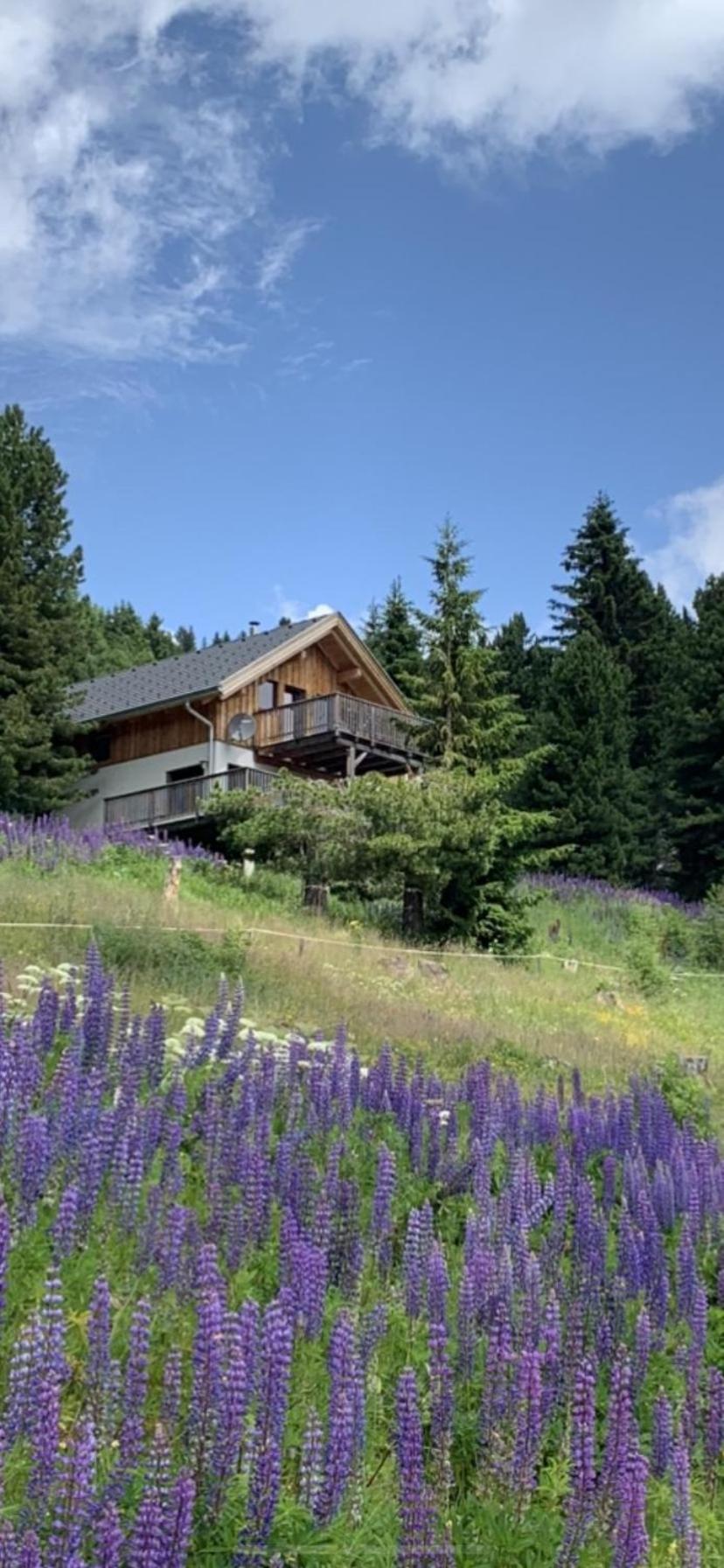 Chalet Claassen Turracher Hohe エクステリア 写真